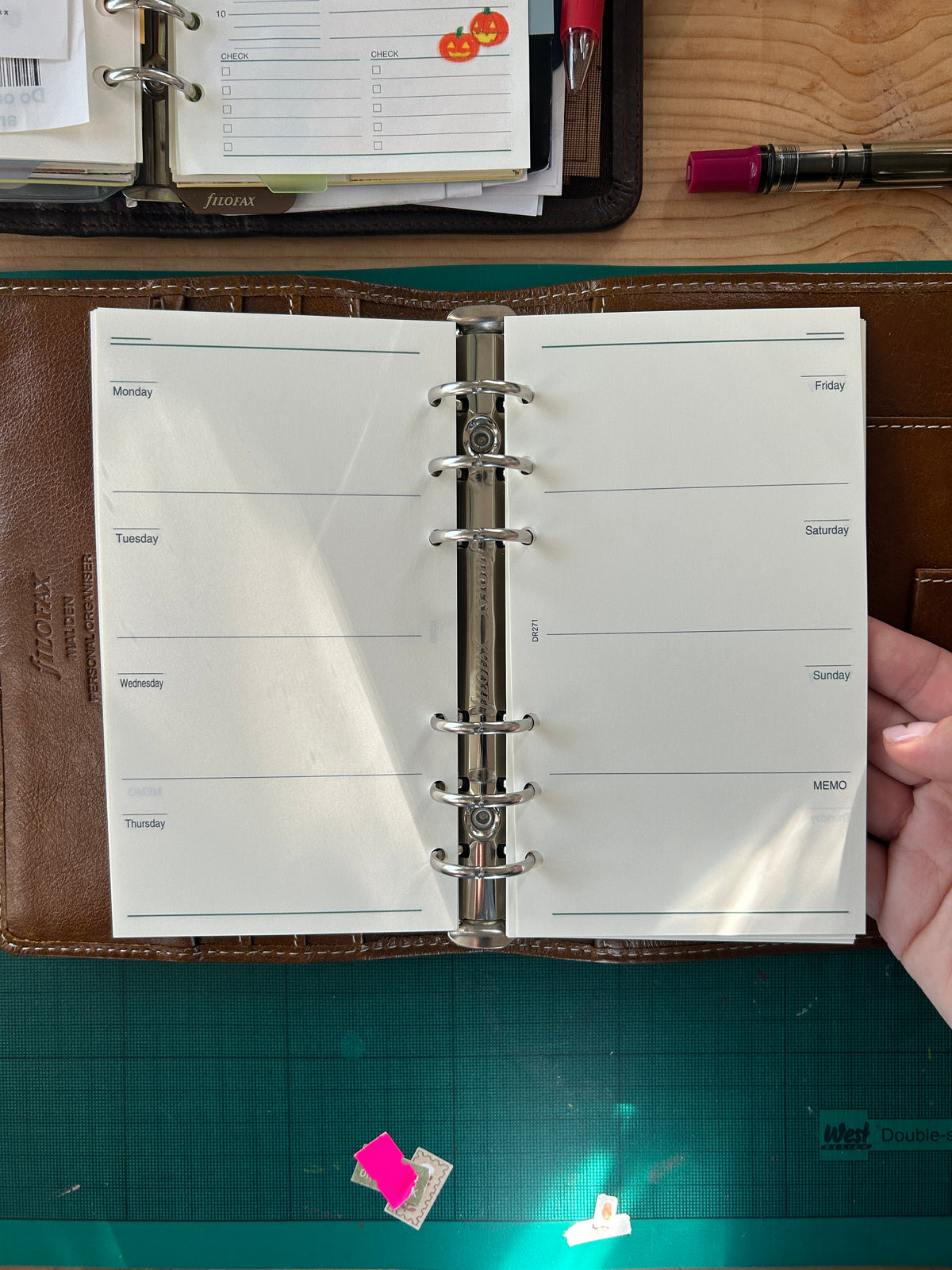 Raymay DaVinci planner inserts - personal size