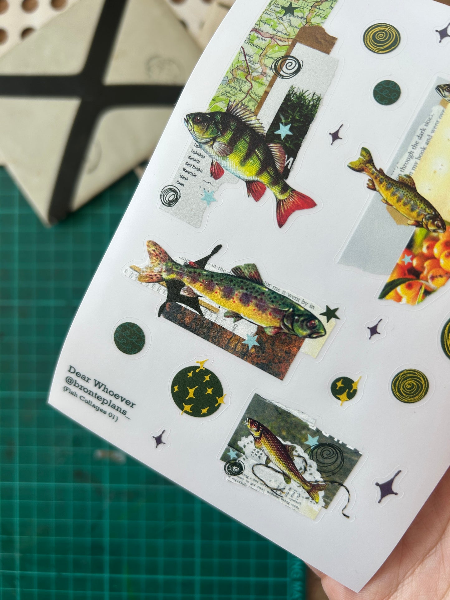 Fish Collages 01