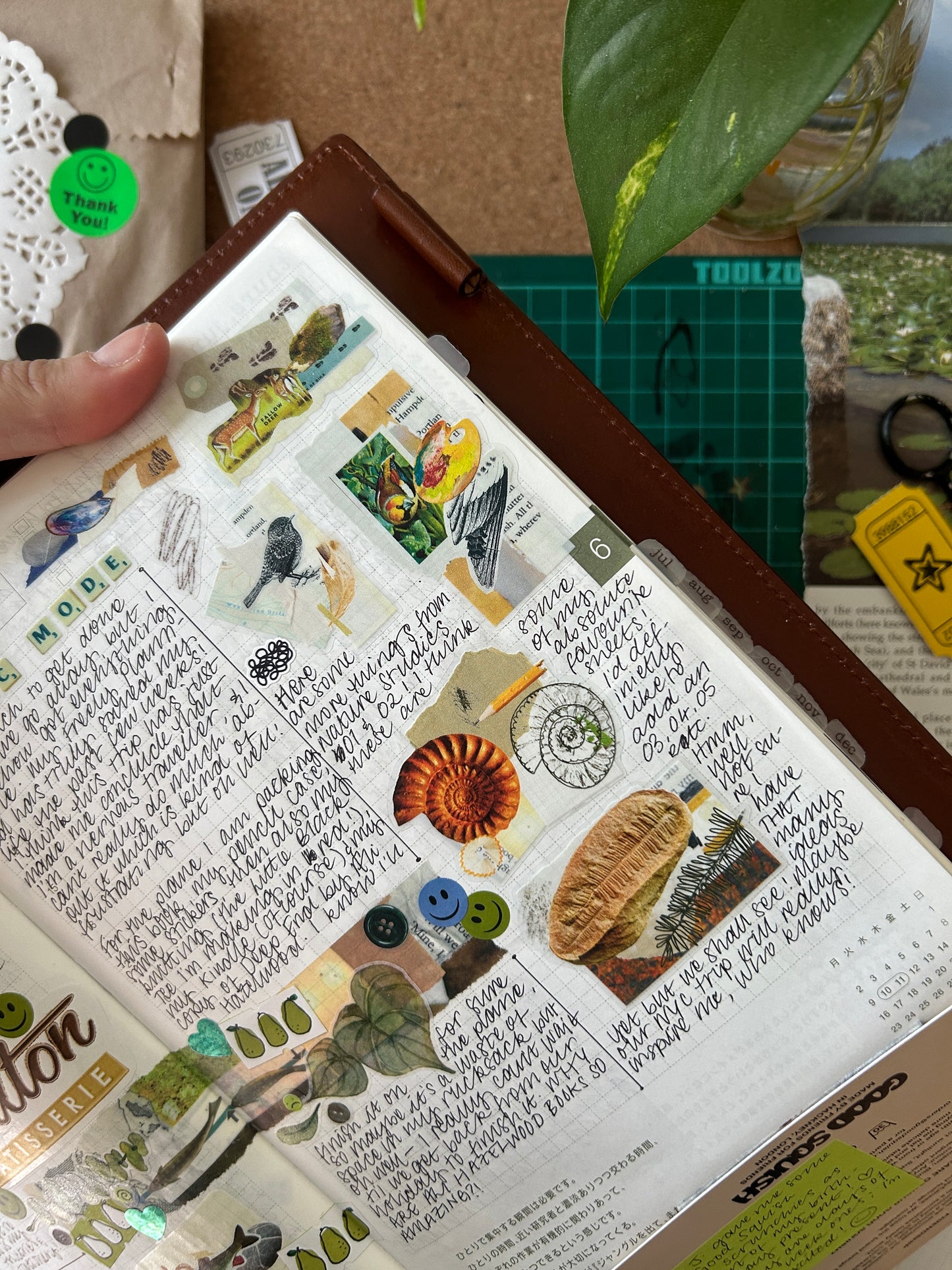 Nature Studies 02