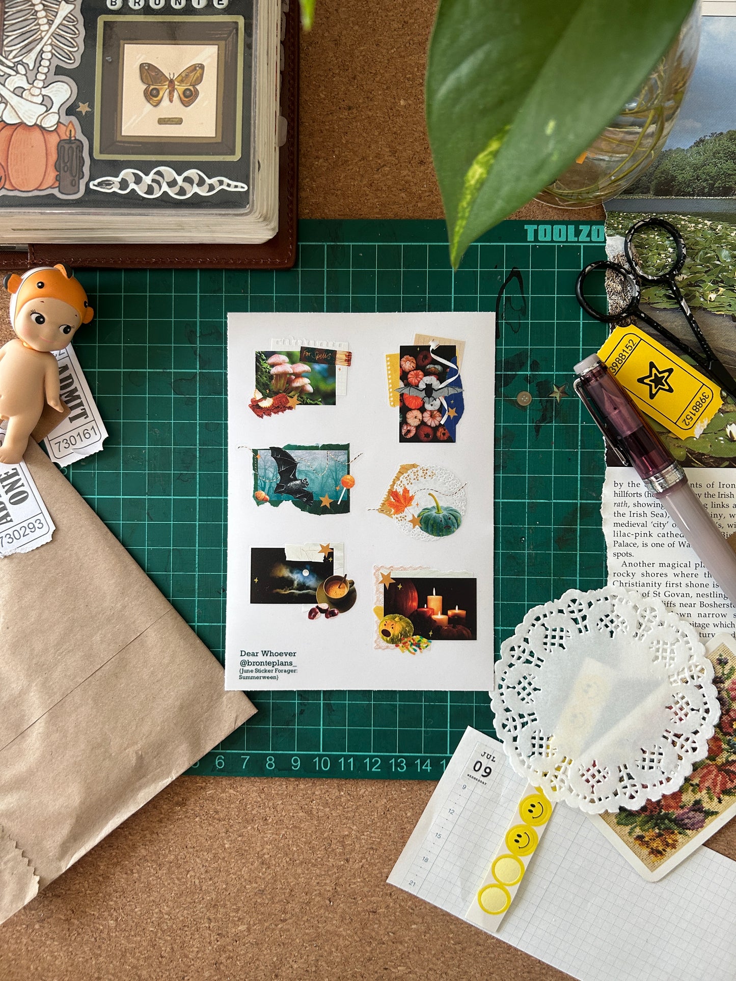 Sticker Forager Subscription Leftovers