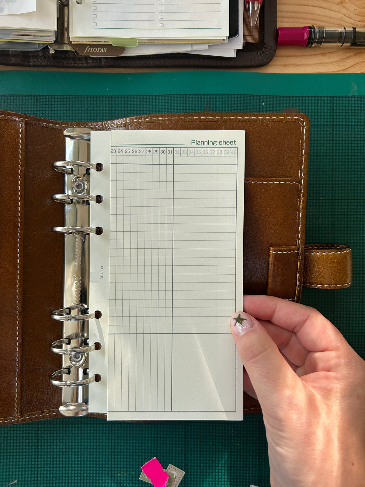 Raymay DaVinci planner inserts - personal size