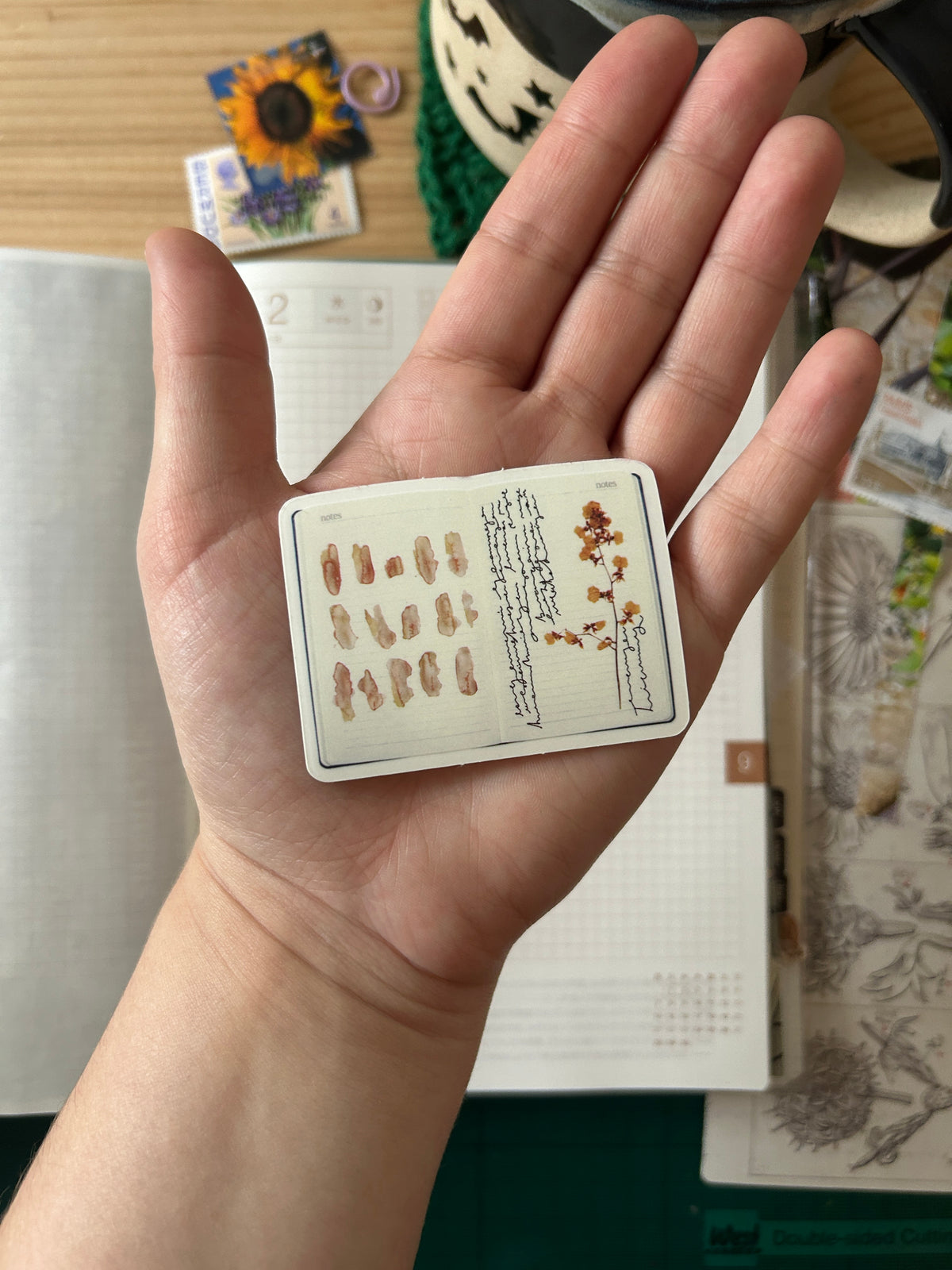 Sticker Forager Subscription Leftovers