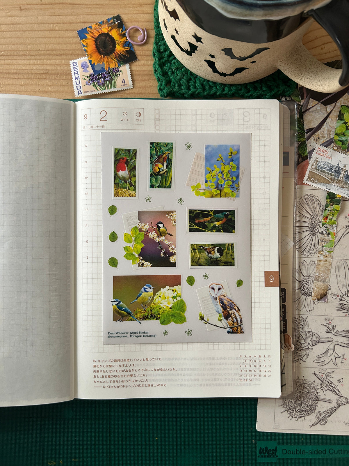 Sticker Forager Subscription Leftovers