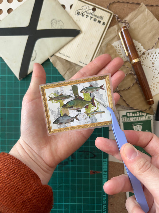 Five Fish Die Cut