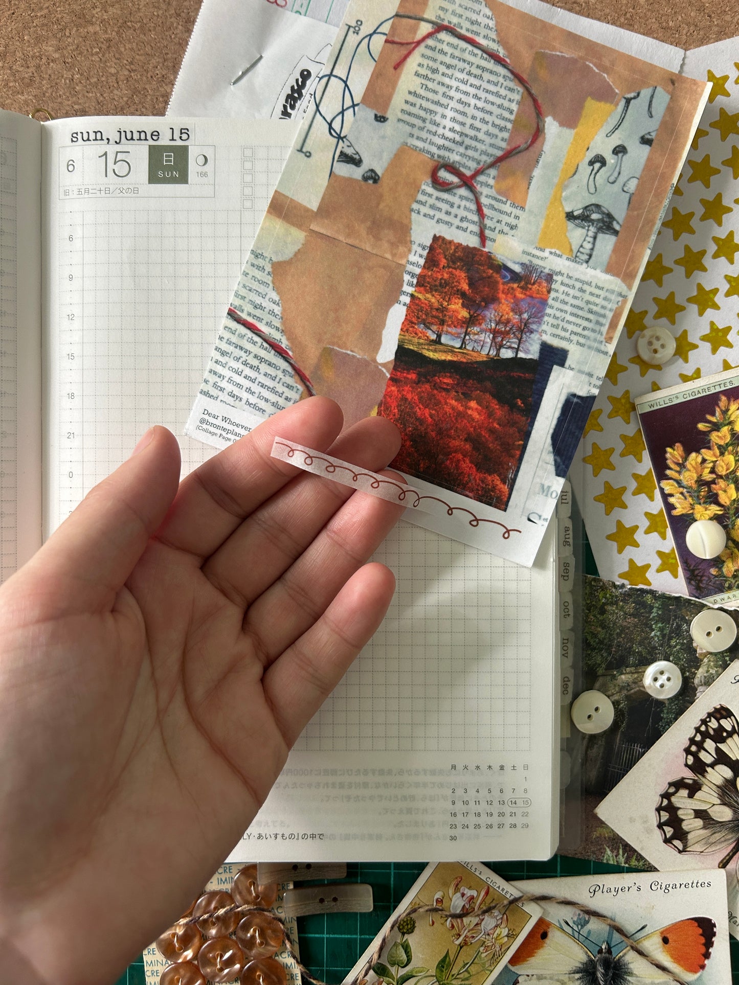 Collage Page 04