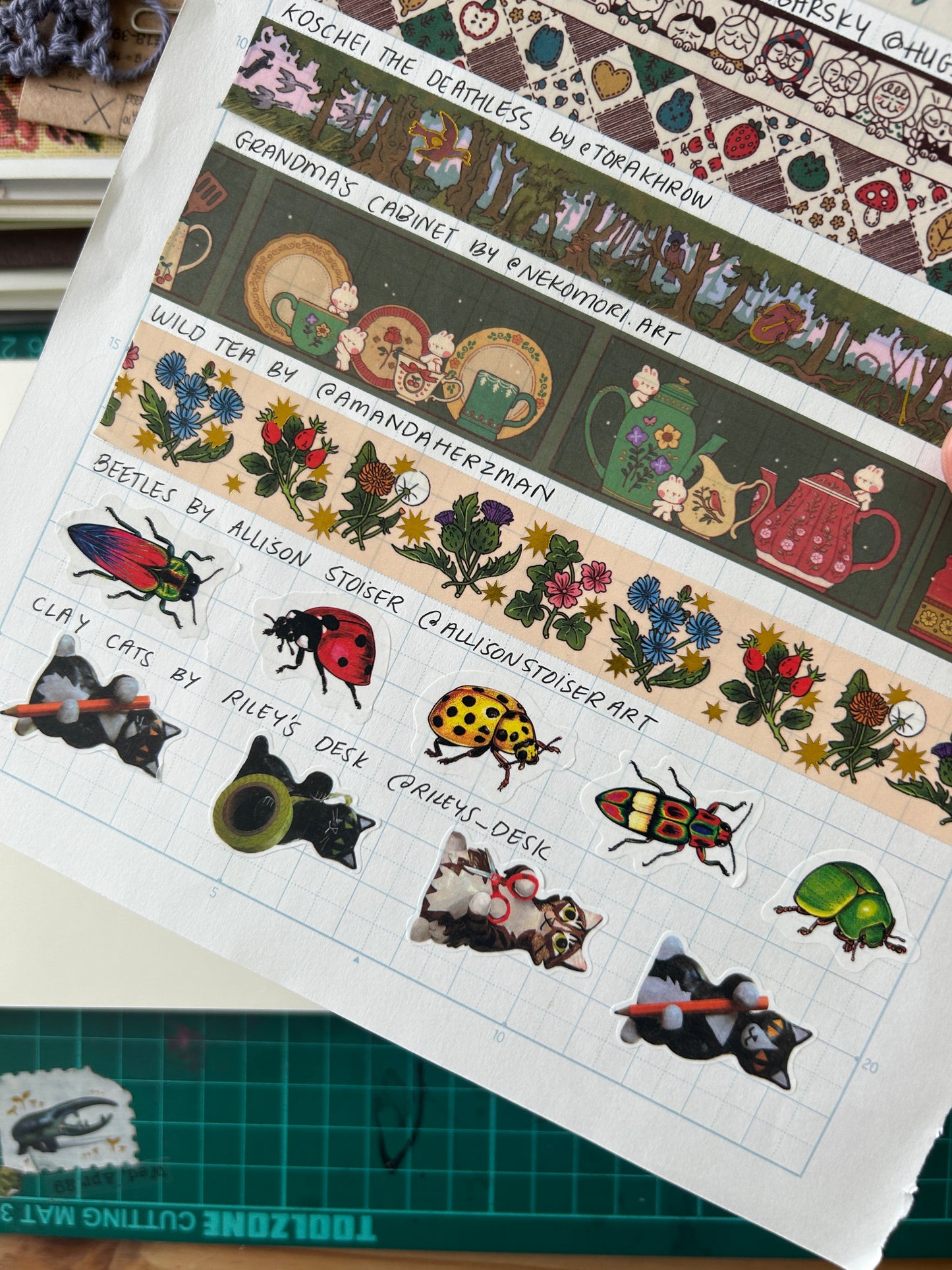 Beetle Overlap from The Washi Station