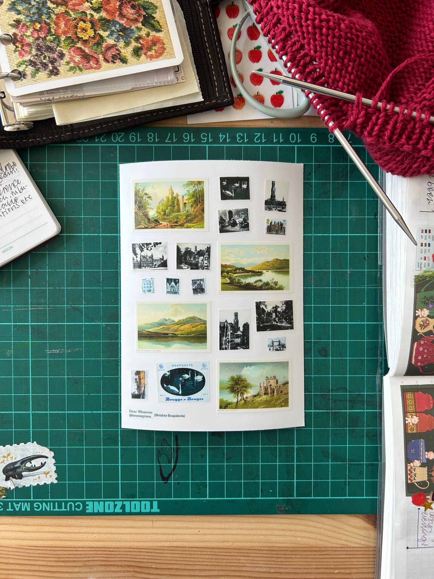 Holiday Snapshots