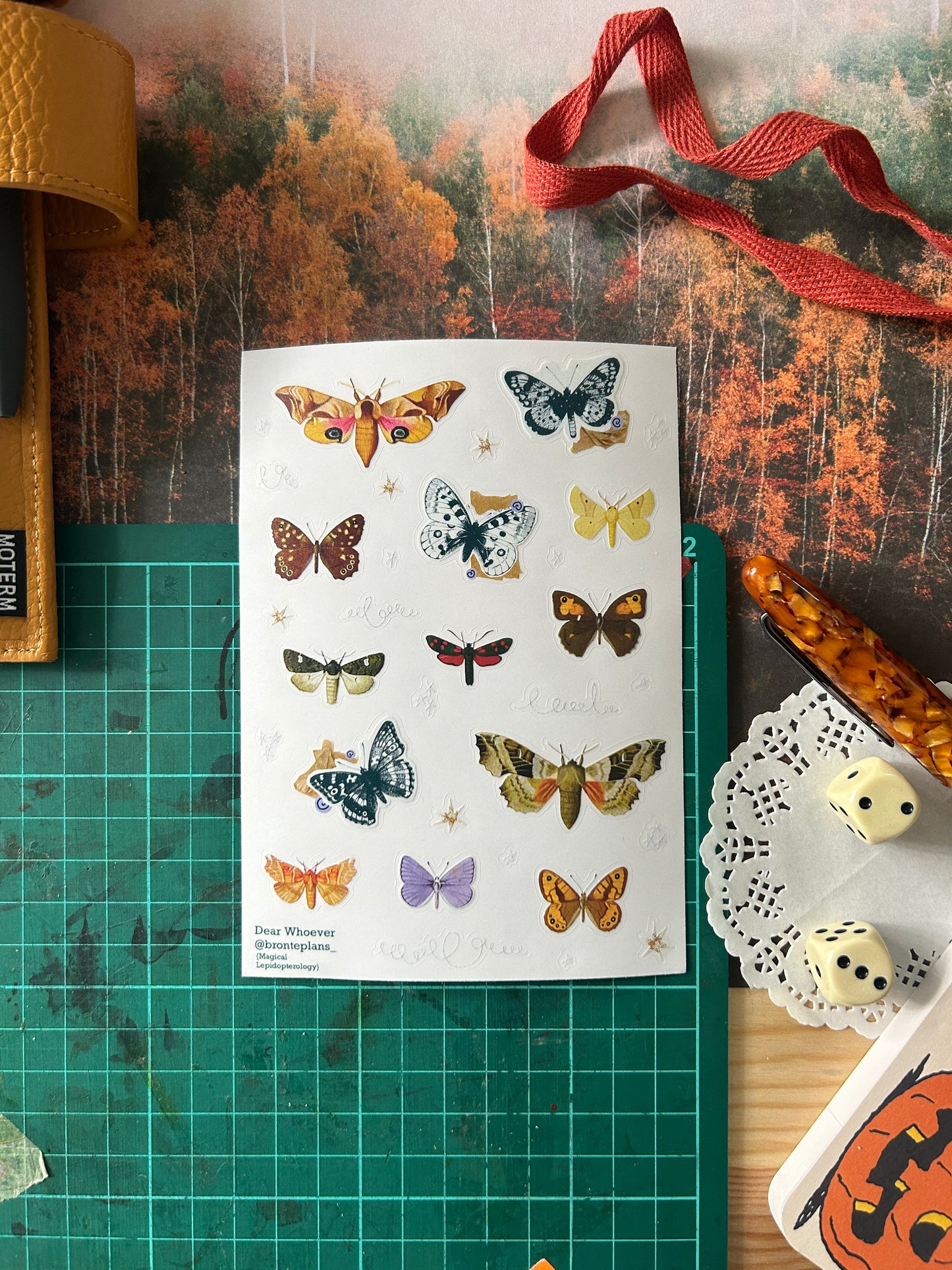 Magical Lepidopterology