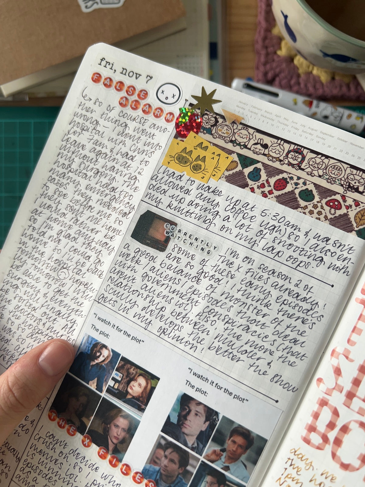 Functional Planner Mini Sheets (16 designs!)