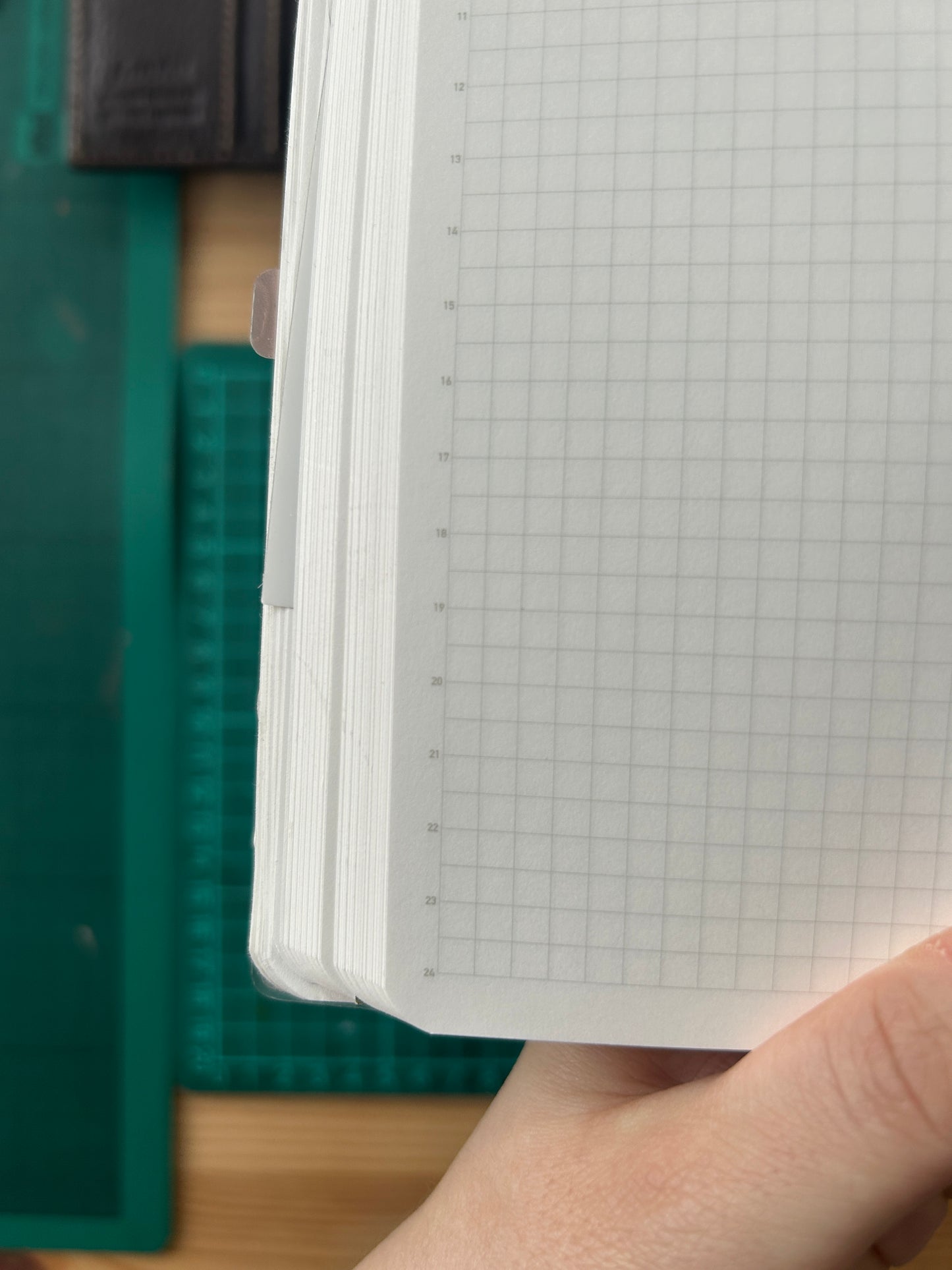 A5 Stalogy notebooks (365 and half year)