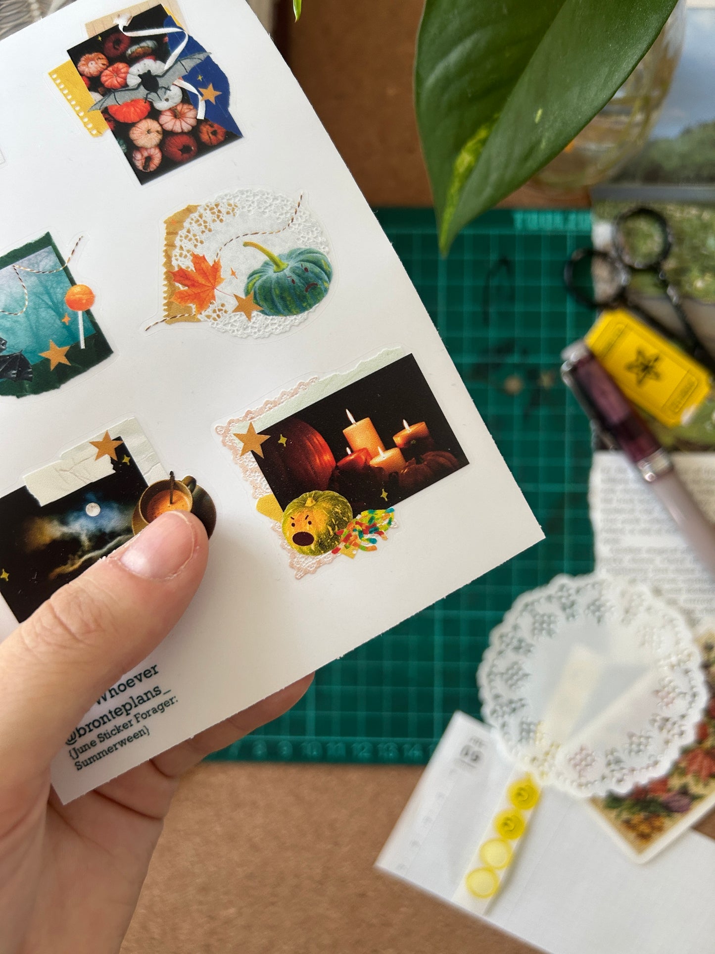 Sticker Forager Subscription Leftovers