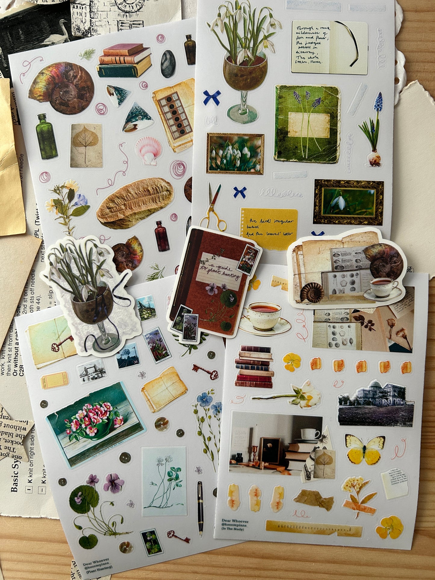 Victorian Hobbyist Bundle